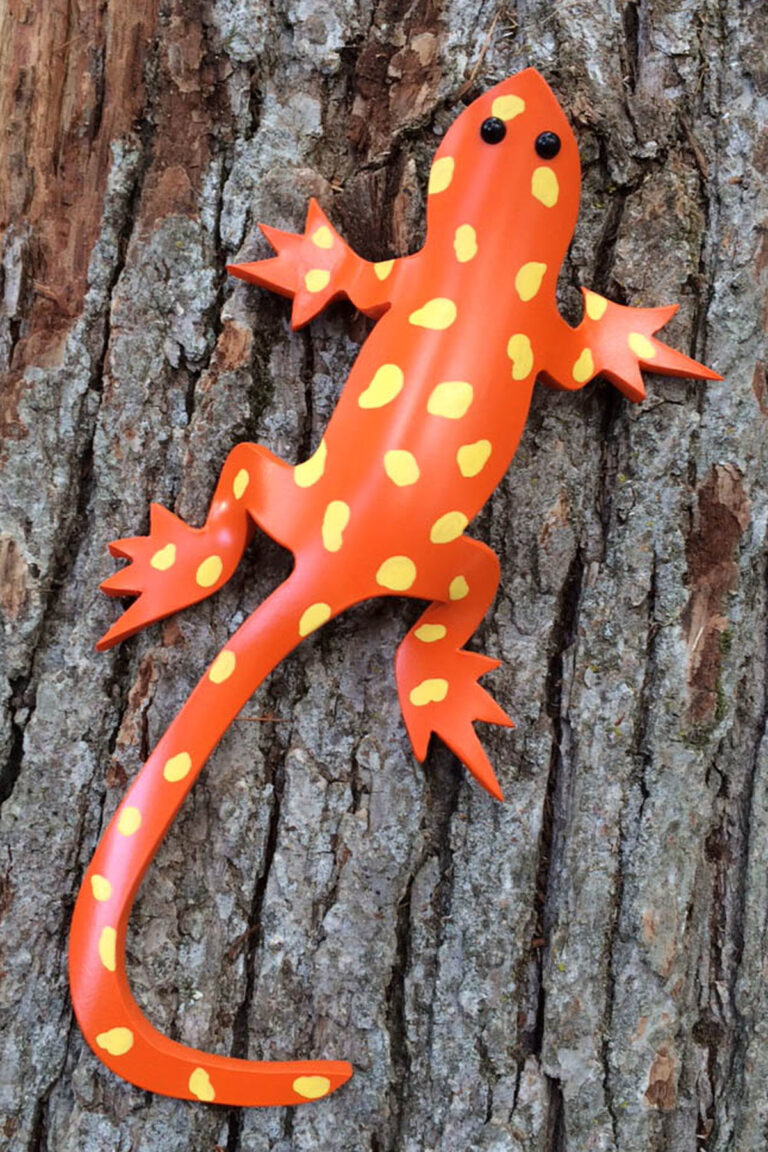 Salamander Orange 2a