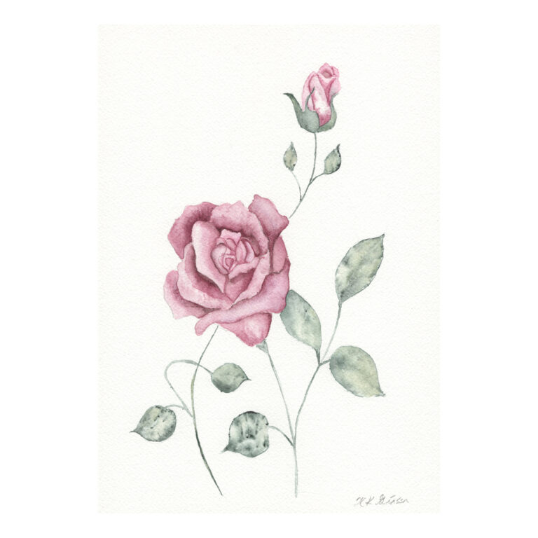 Petite Rose Buds