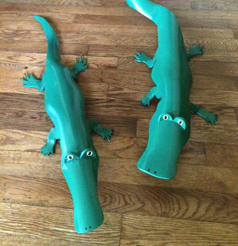 alligators finished photo cropped