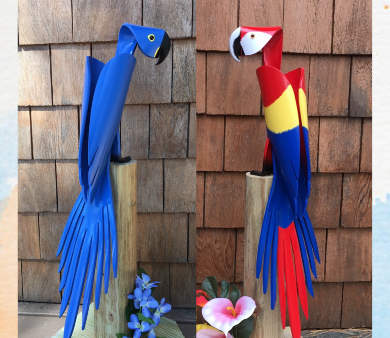 both macaws with sides for weebly search