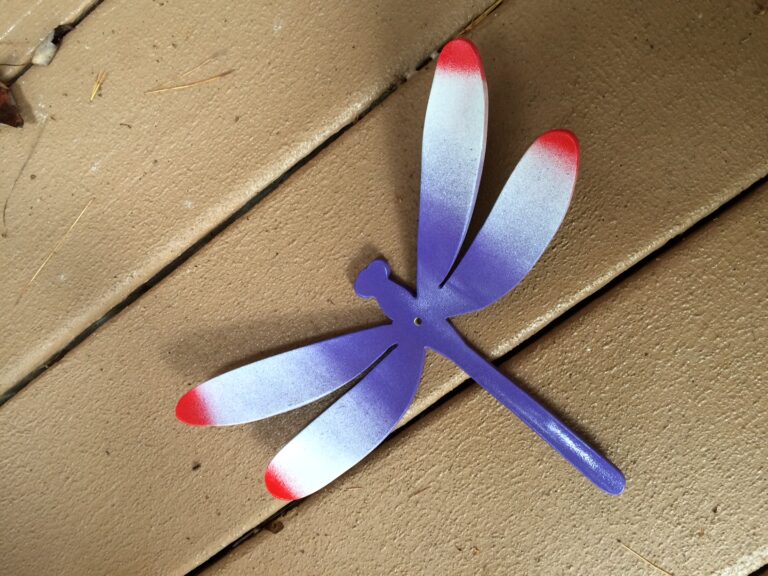 dragonfly 1