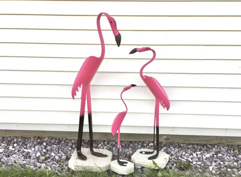 flamingo family 1 A