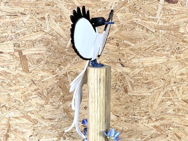 paradise flycatcher 3