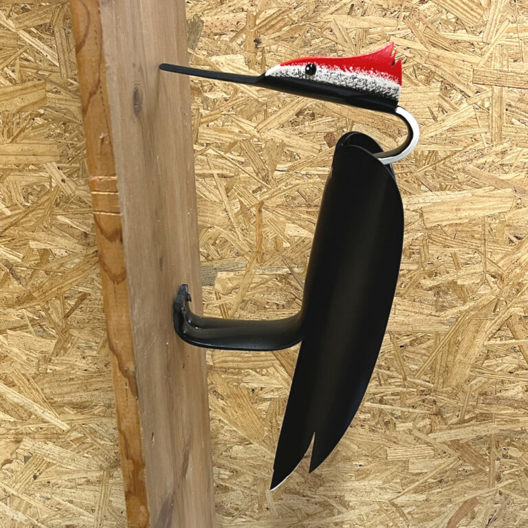 pileated woodpecker