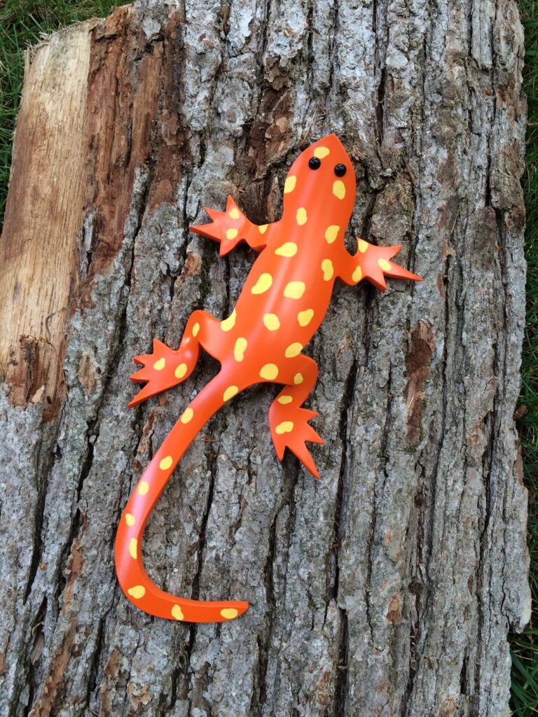 salamander 2
