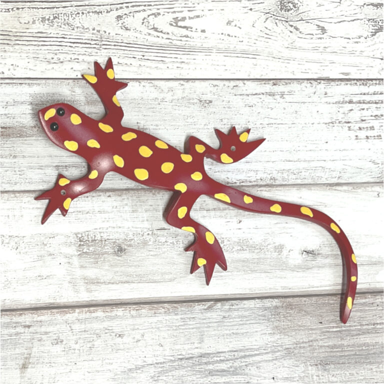 salamander 4
