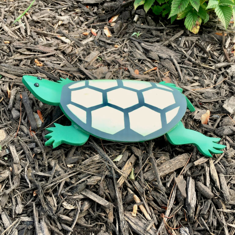 turtle 2a