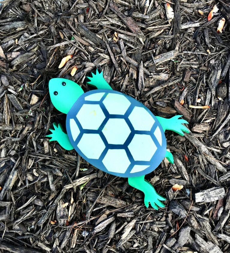 turtle 4 Copy