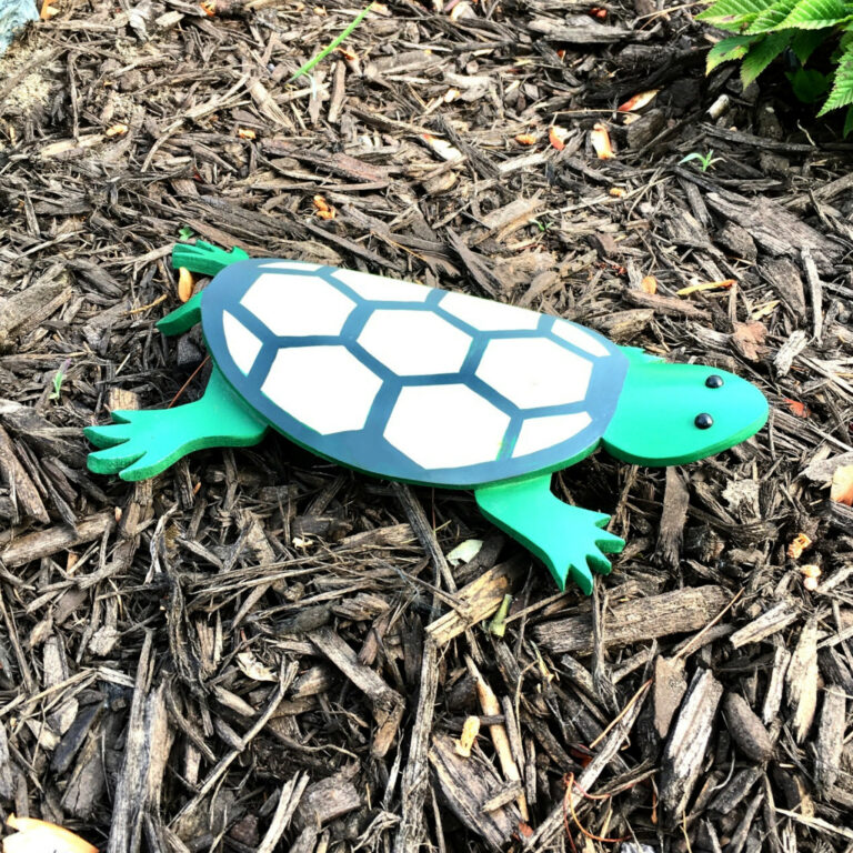 turtle 5a