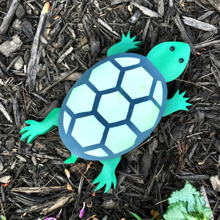 turtle first a MCM