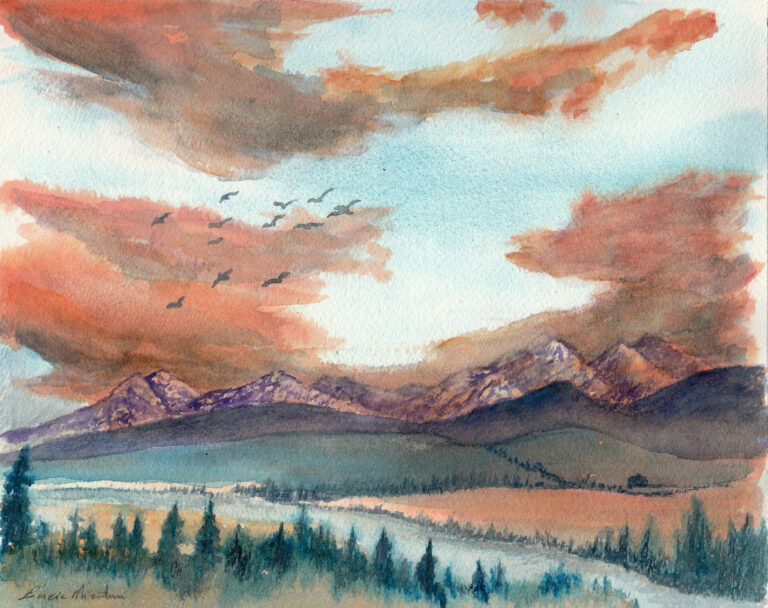Canadian landscape in Alberta, river and pine trees