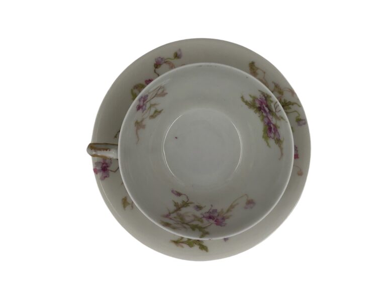Teacup with Saucer Theodore Haviland Limoges 5