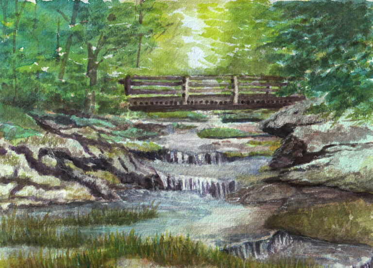 cascade, creek in the Catskill NY
