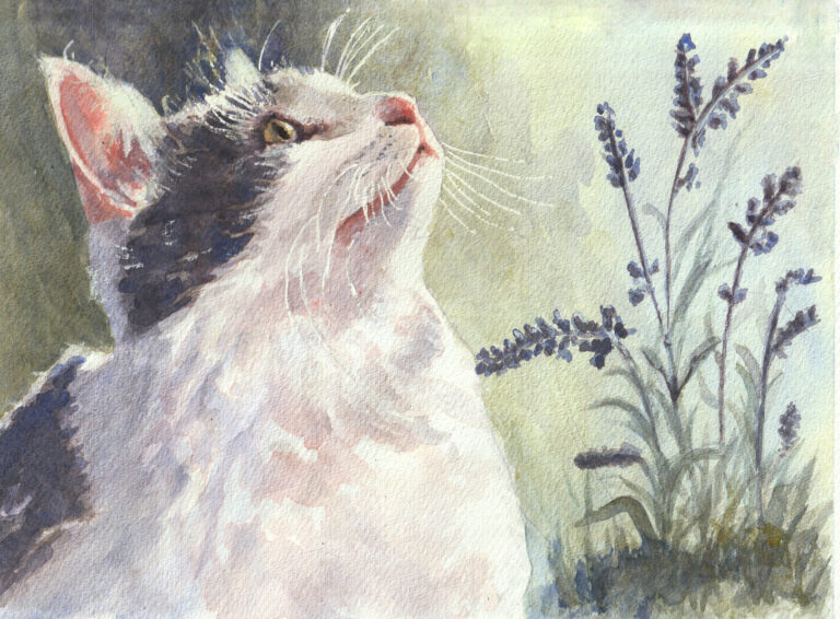 Charming kitten in watercolor