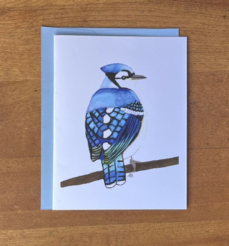 Blue Jay 1