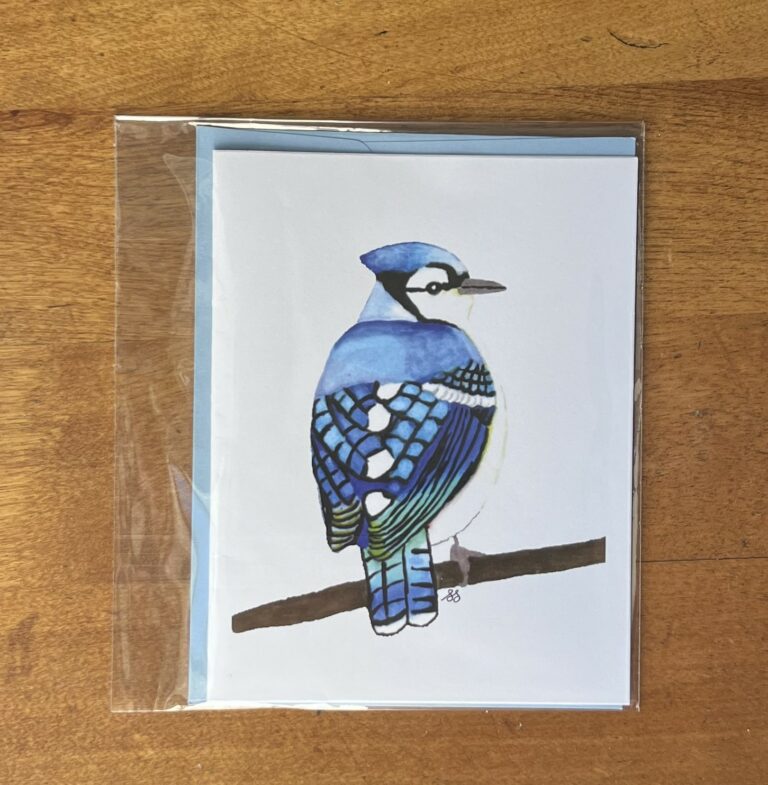 Blue Jay 2