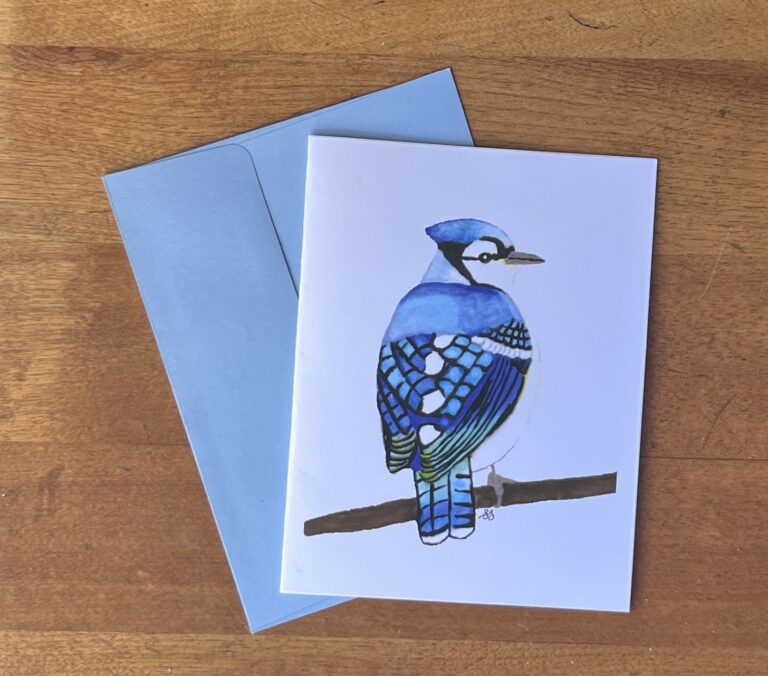 Blue Jay 3