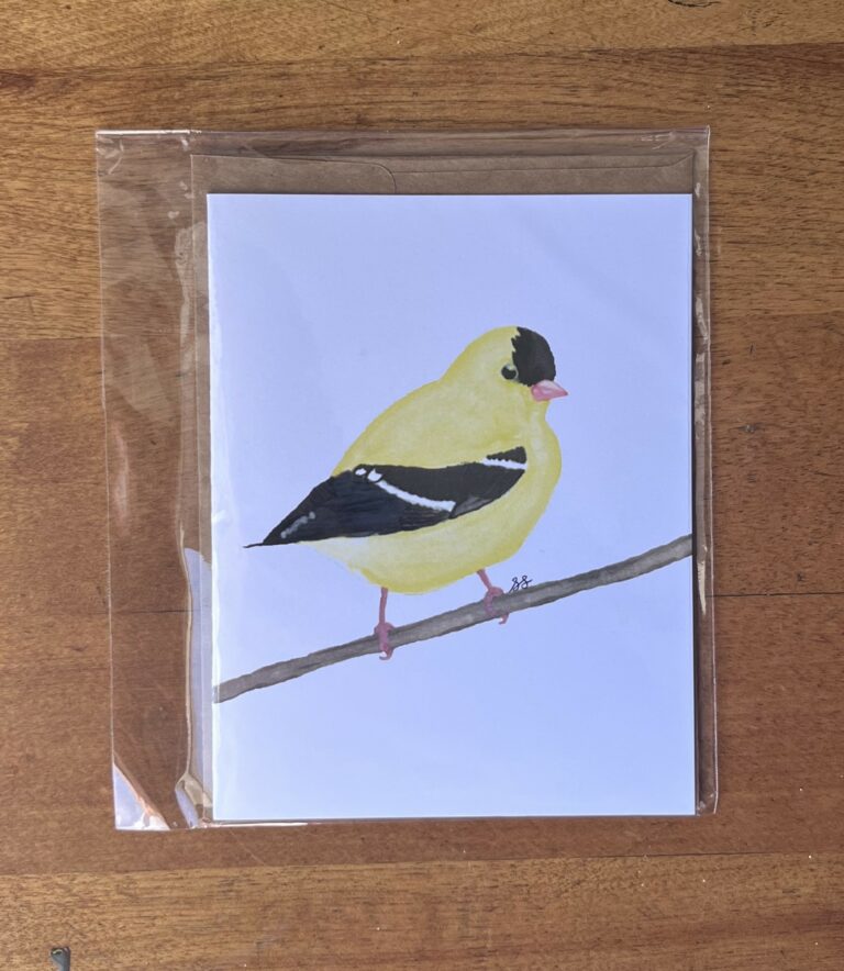 Goldfinch 1
