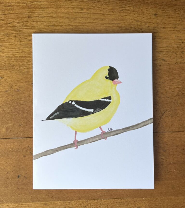 Goldfinch 2
