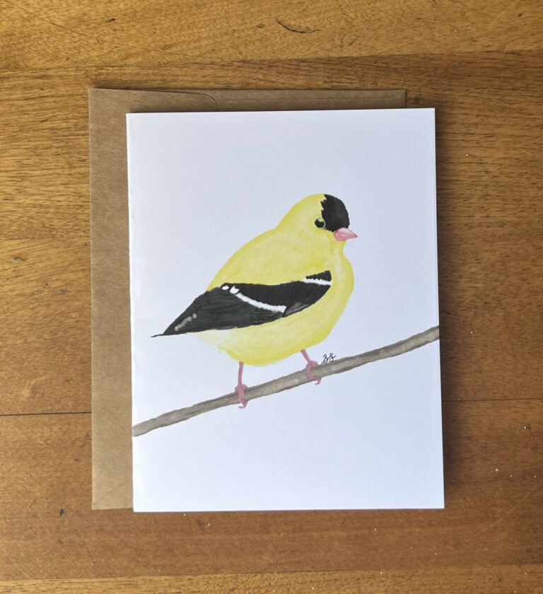 Goldfinch 3