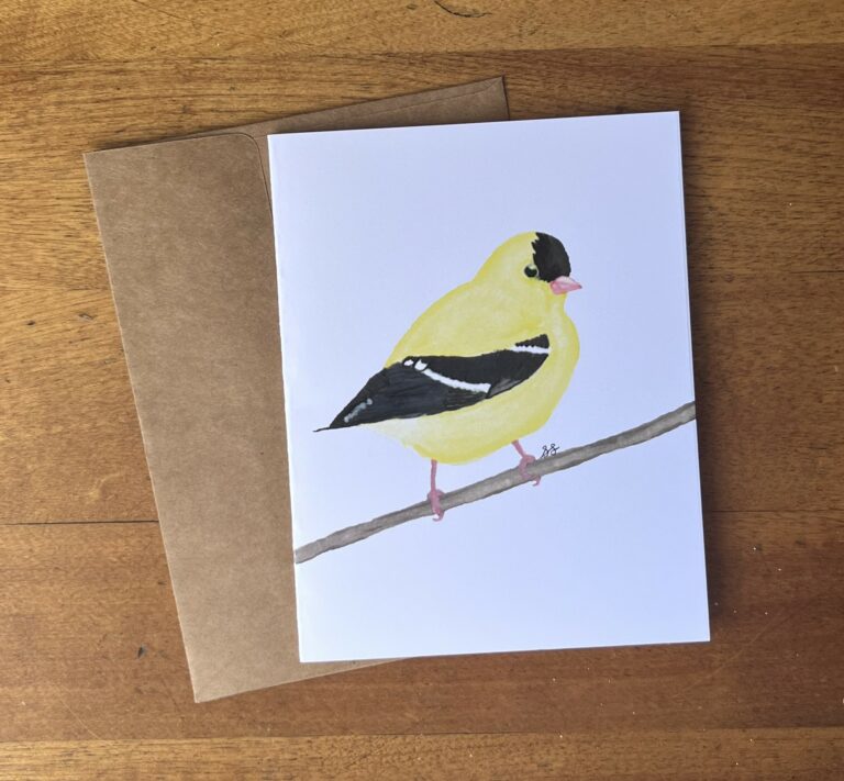 Goldfinch 4