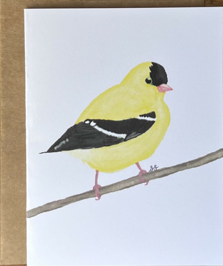 Goldfinch