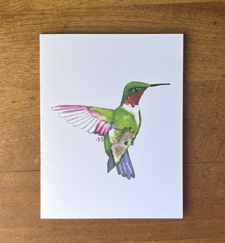 Hummingbird 2