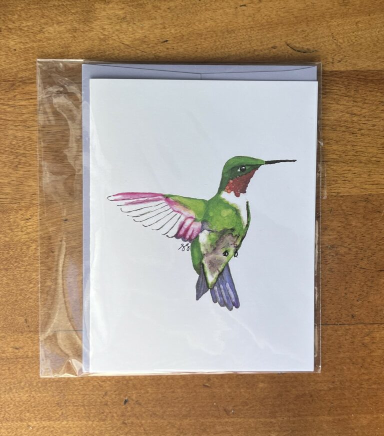 Hummingbird 3