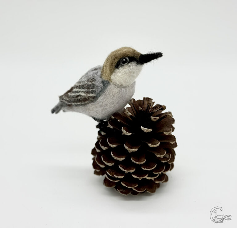 Needle felt brown capped Nuthatch