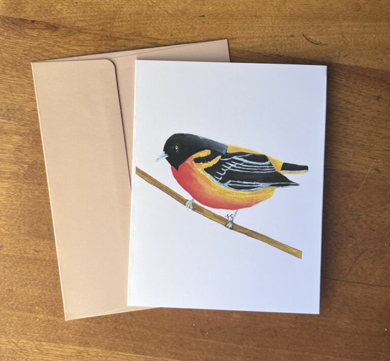 Oriole 1
