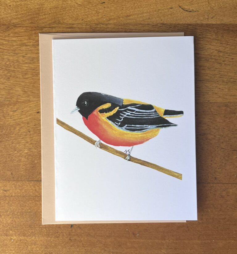 Oriole 2