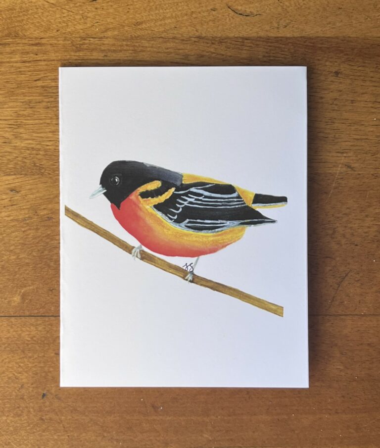 Oriole 4