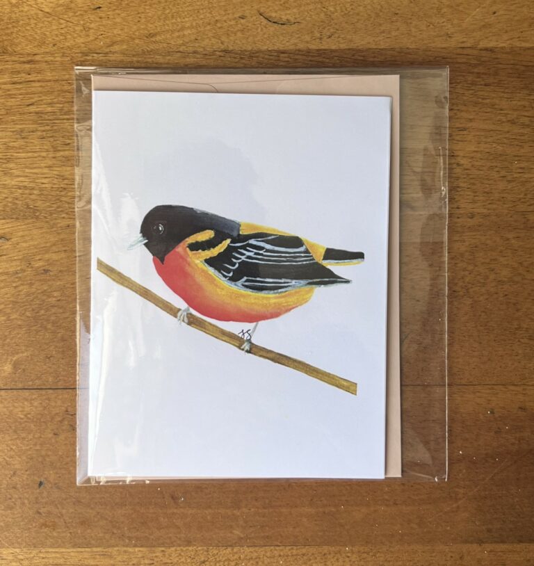 Oriole 5