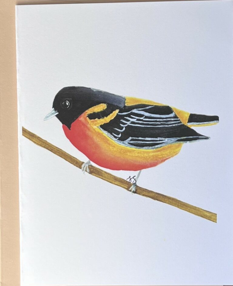 Oriole