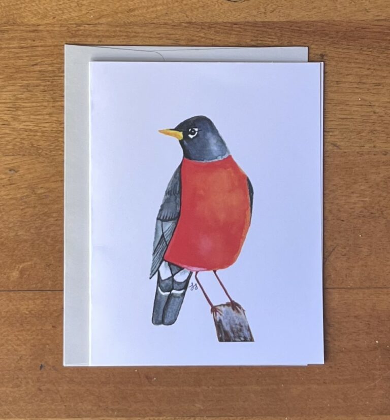 Robin 1