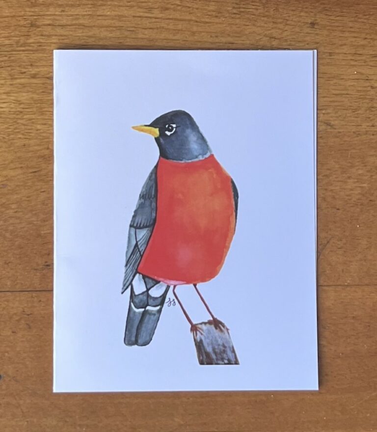 Robin 2