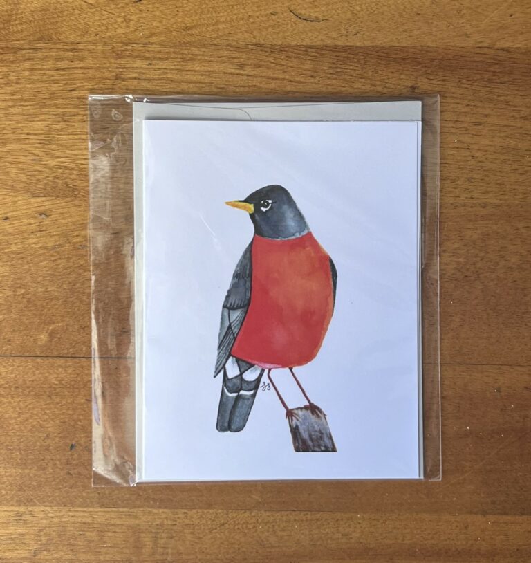 Robin 4