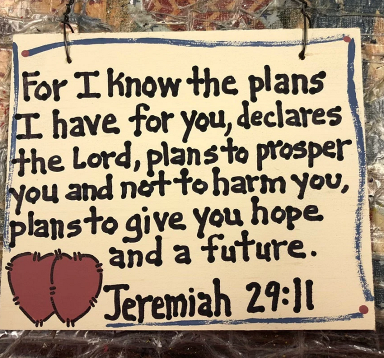 4015 Jeremiah 29 11 For I know the plans I have for you