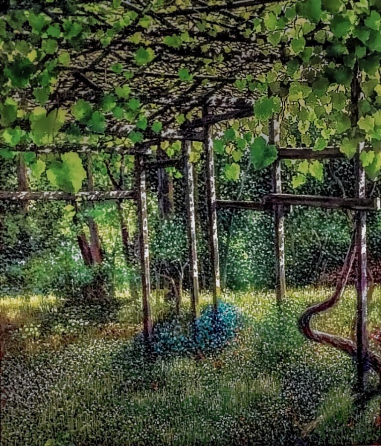 This painting is of being underneath a grape arbor with untouched grasses and flowers with hanging large & small leaves. From the arbor is a small grassy field leading to the edge of its boundary where there are trees & shrubs.