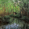The foreground is a lake with reflections of the surrounding forest. Lake has a large, rounded ripple in the foreground. There is a shed on right side of the bank.