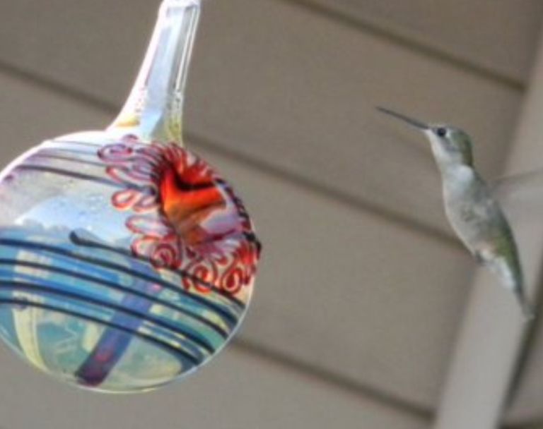 Hummingbird feeder BK