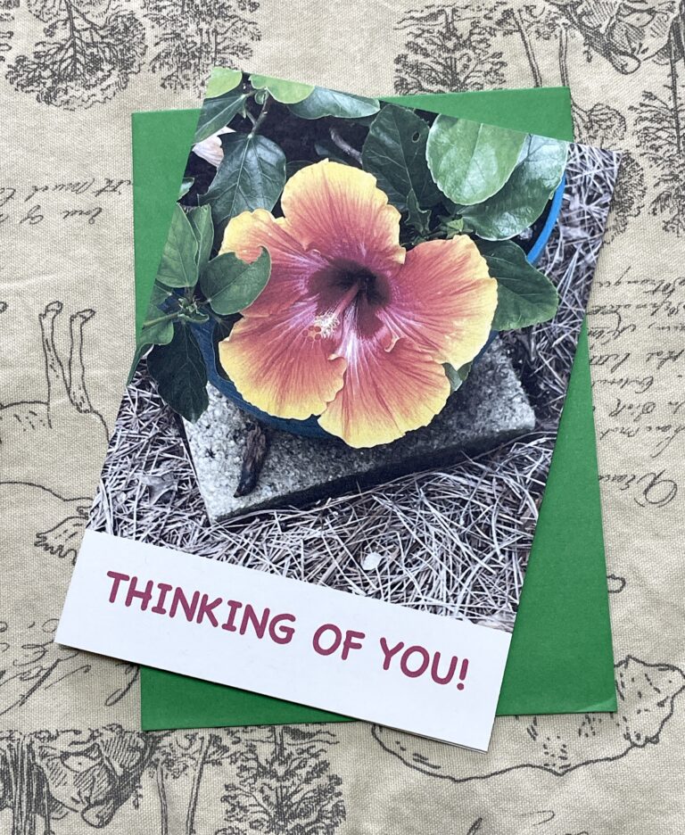 Hibiscus digital download greeting card for sale