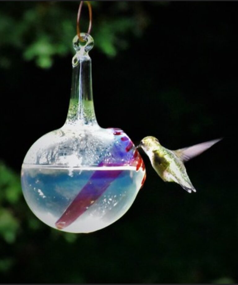 Hummingbird feeder OR