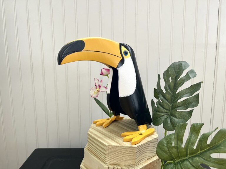 toucan 10