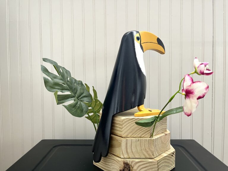 toucan 4