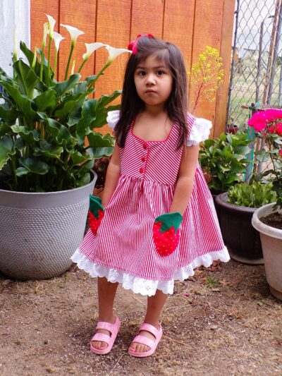 Striped Strawberry dress with Optional Purse