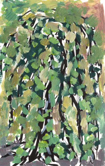Graceful green willow tree painting on paper