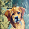 Yellow Labrador puppy sits in a garden by a large bush