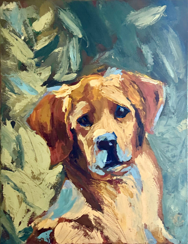 Yellow Labrador puppy sits in a garden by a large bush