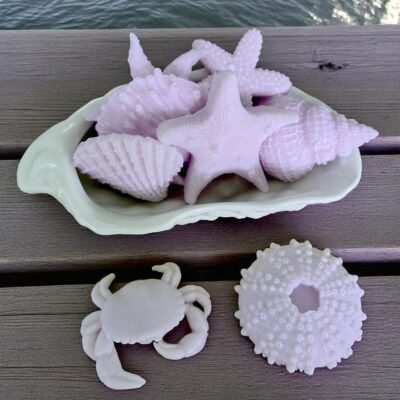 Coastal Oyster Dish Soaps